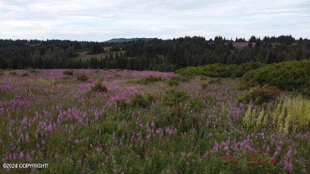 Homer, AK 99603,61189 Master AVE