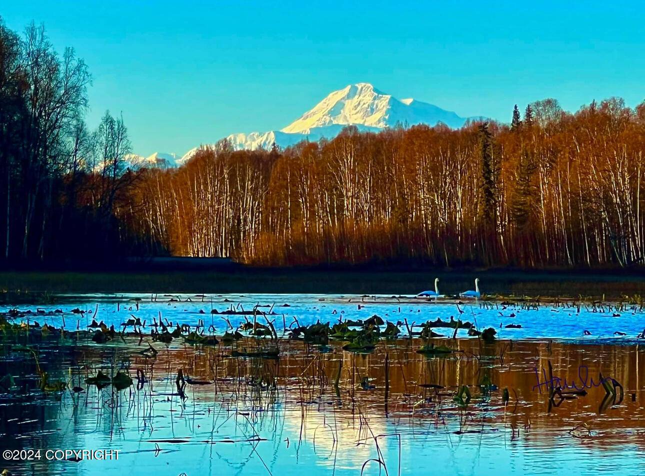 Talkeetna, AK 99676,32500 Talkeetna Spur RD