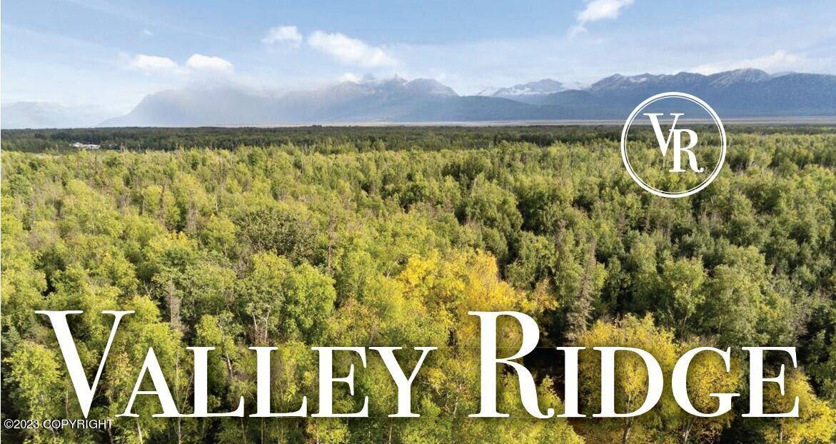 Wasilla, AK 99654,L5 B7 W Valley Ridge DR