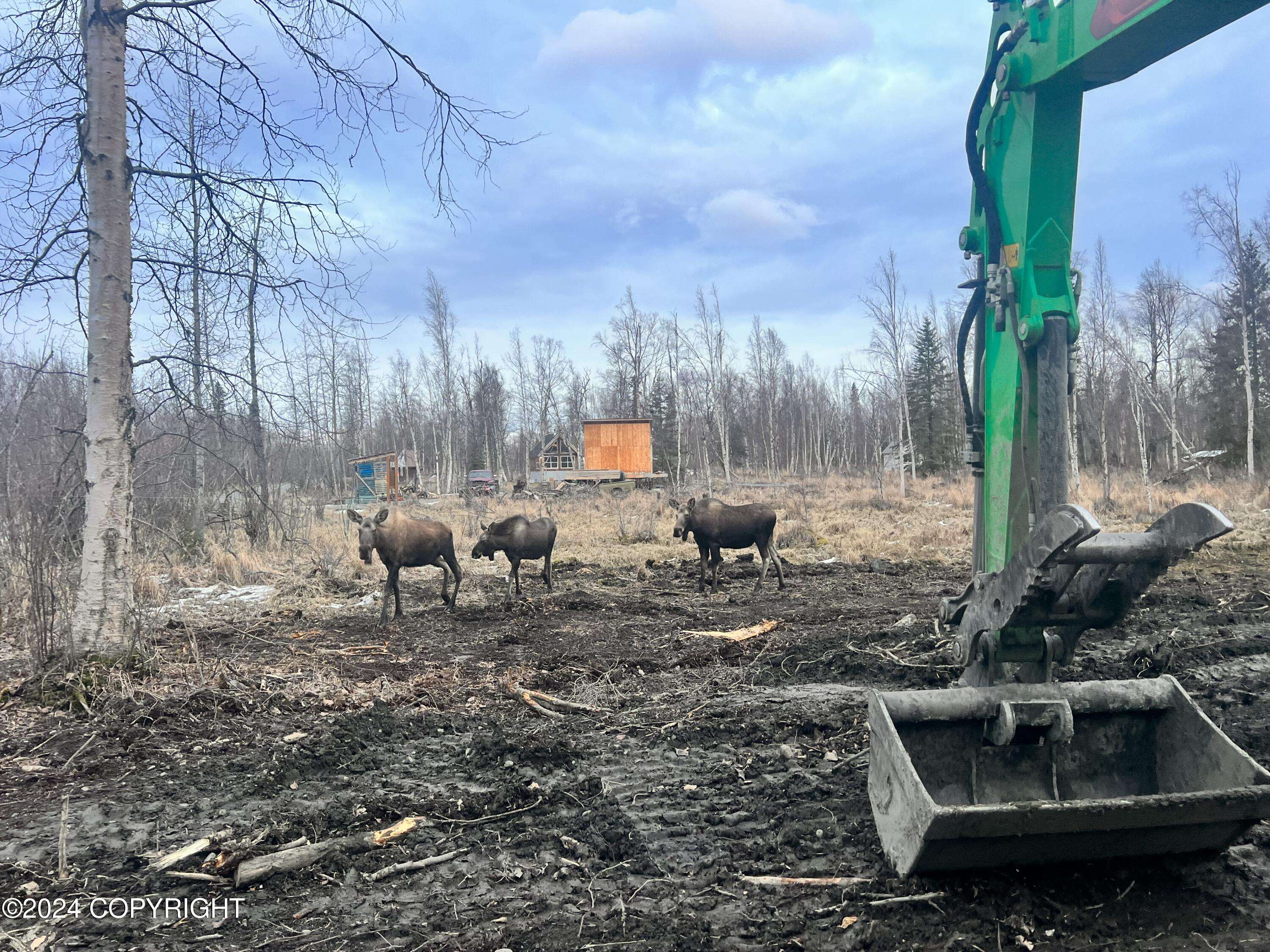 Palmer, AK 99645,9703 River DR