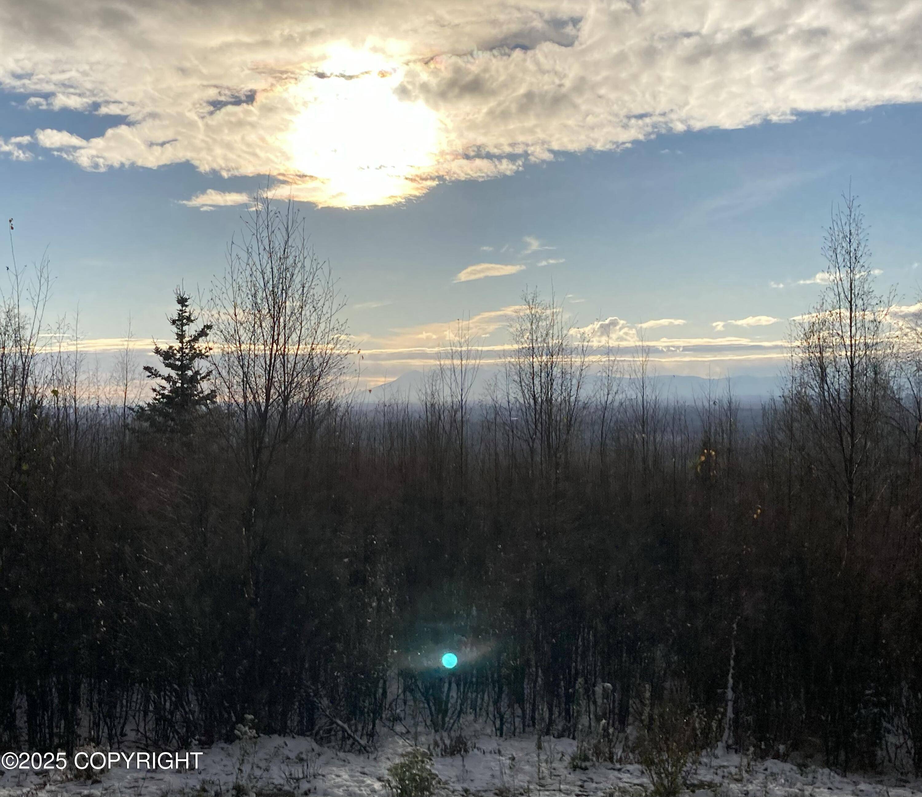 Willow, AK 99688,15561 W Willa's WAY