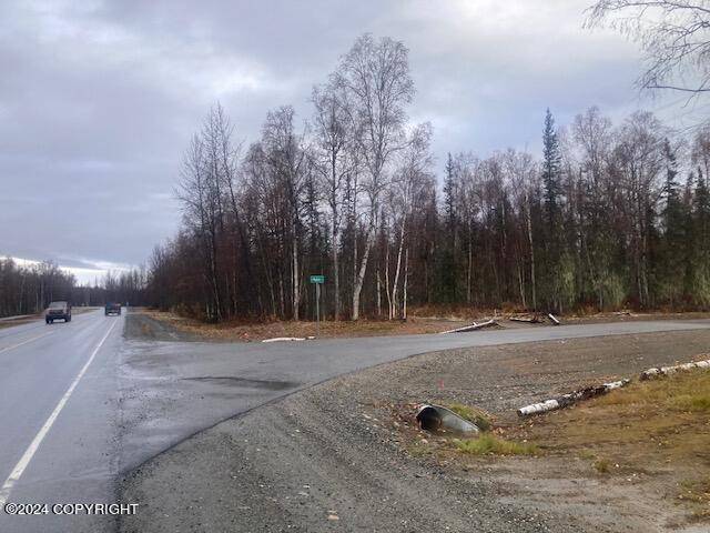 Talkeetna, AK 99676,15511 E Maddie CT