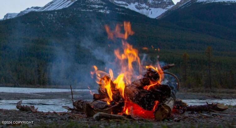 Haines, AK 99827,L 11 Birch Island Chilkat Lake