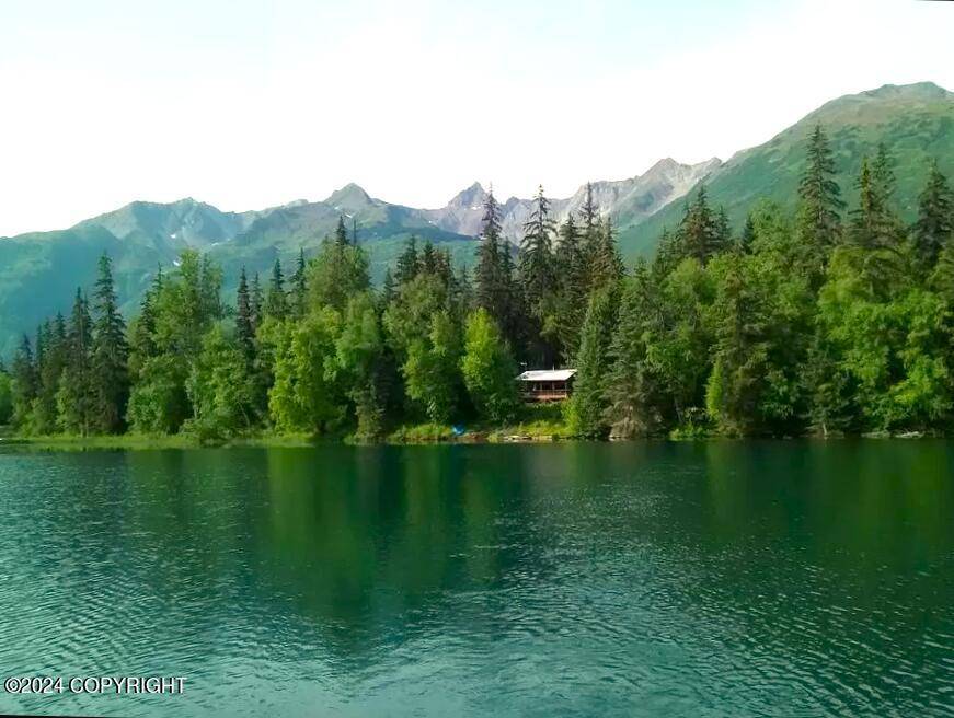 Haines, AK 99827,L 11 Birch Island Chilkat Lake