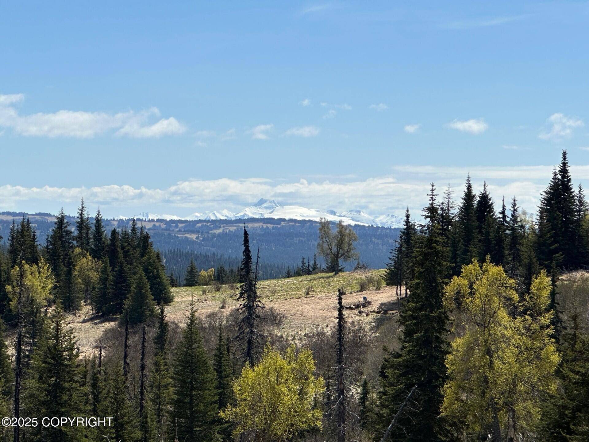 Anchor Point, AK 99556,63687 Inez AVE