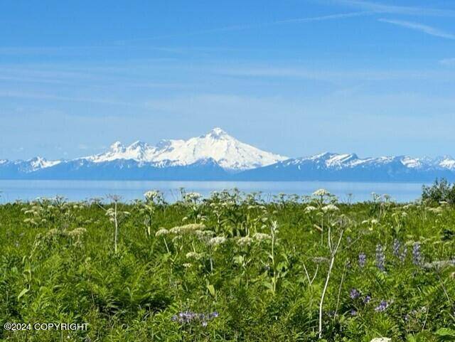 Ninilchik, AK 99639,17395 Tidal Knoll RD