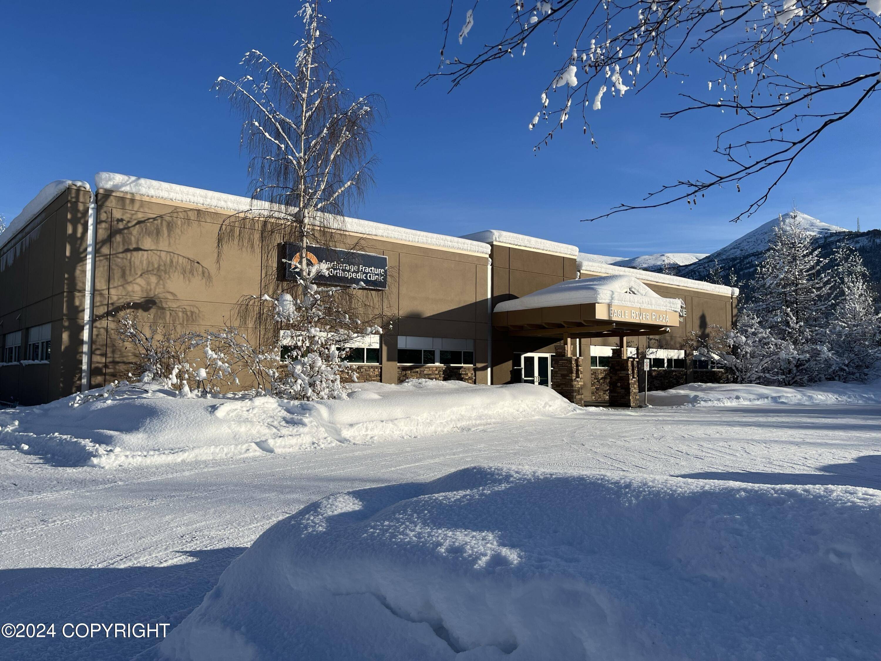Eagle River, AK 99577,17025 Snowmobile LN #102