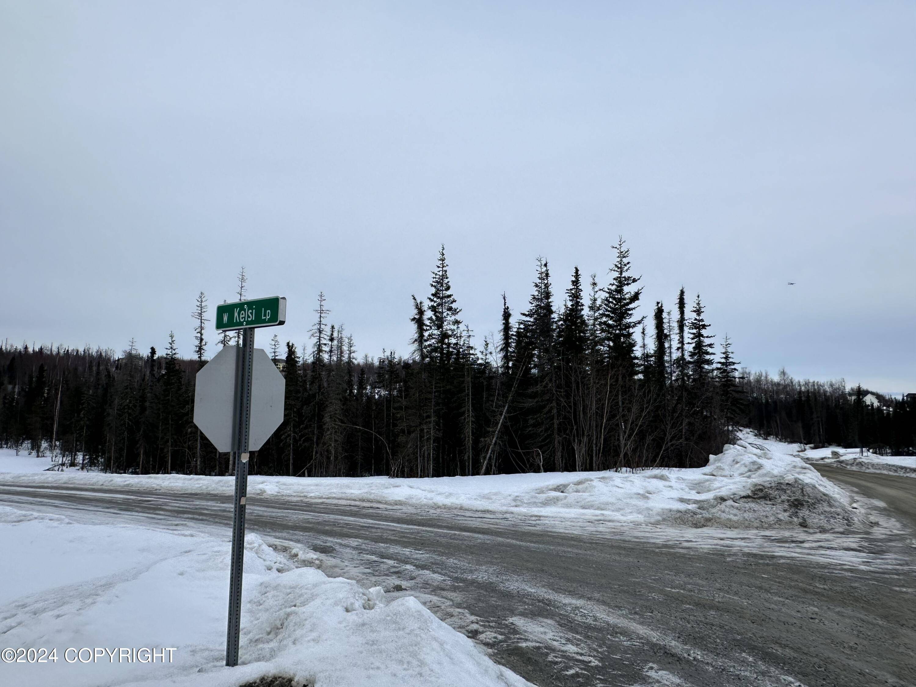 Wasilla, AK 99623,L1 B3 W Lollybrock DR