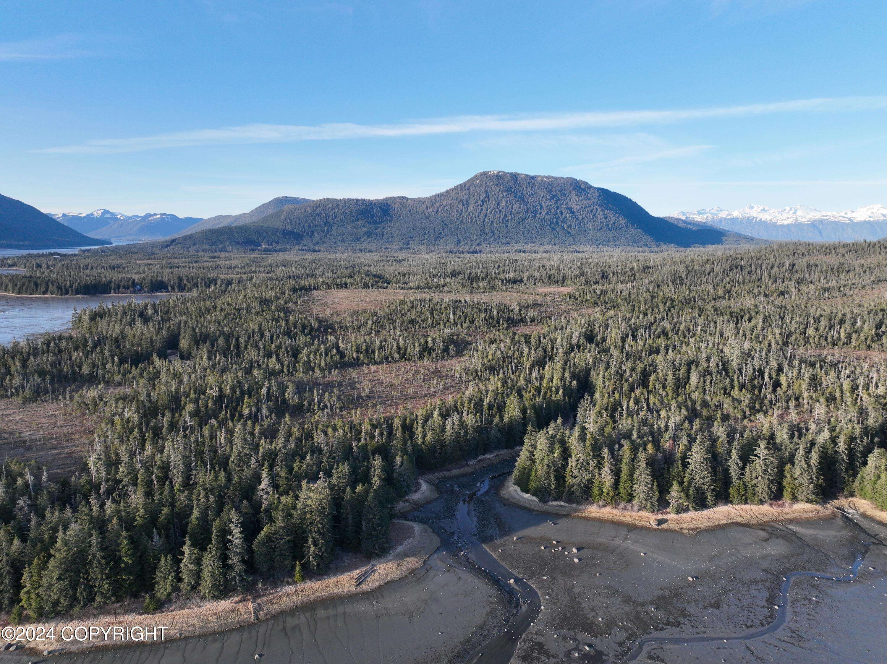 Petersburg, AK 99833,Lot 14 S Mitkof HWY