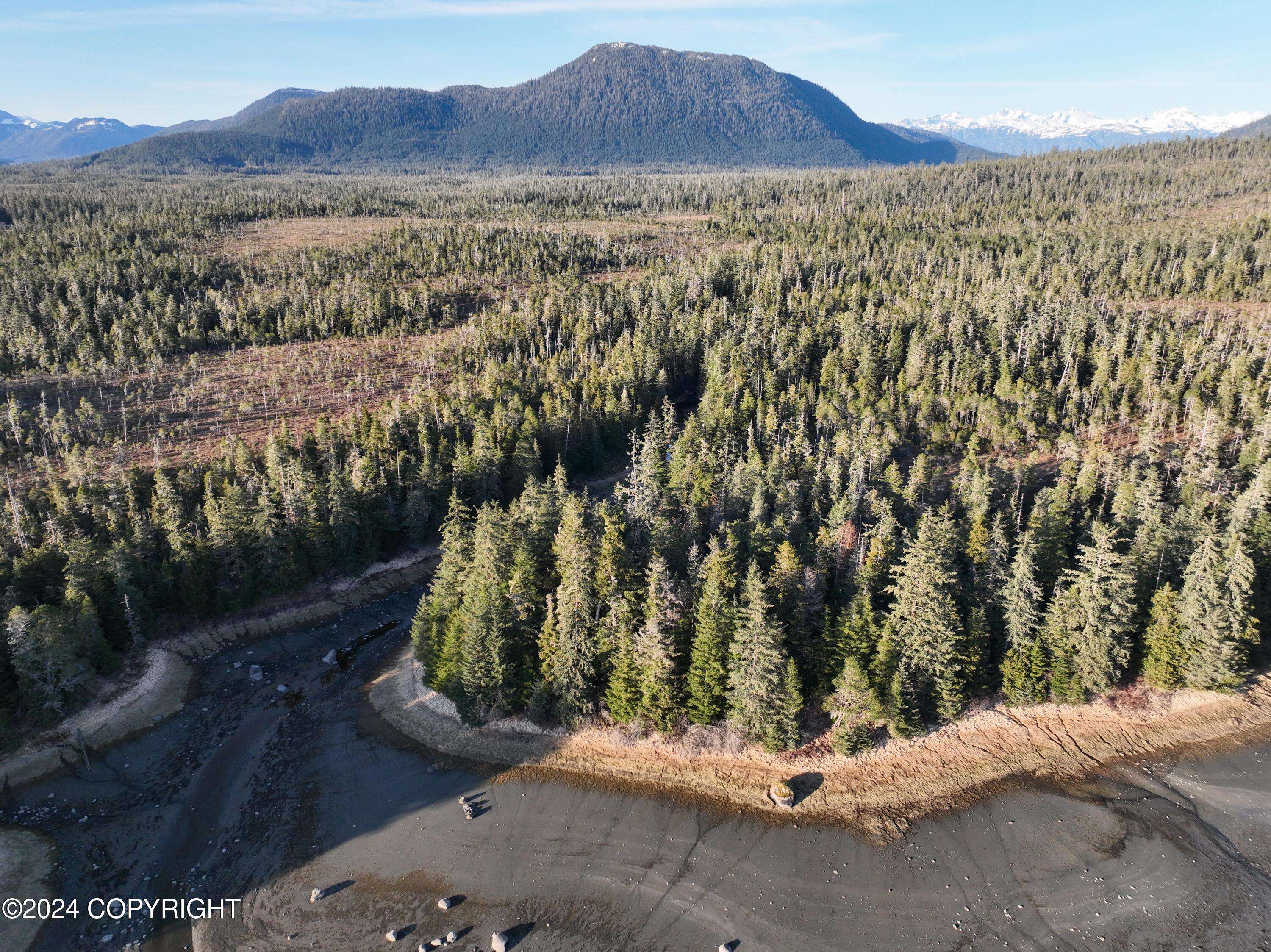 Petersburg, AK 99833,Lot 14 S Mitkof HWY