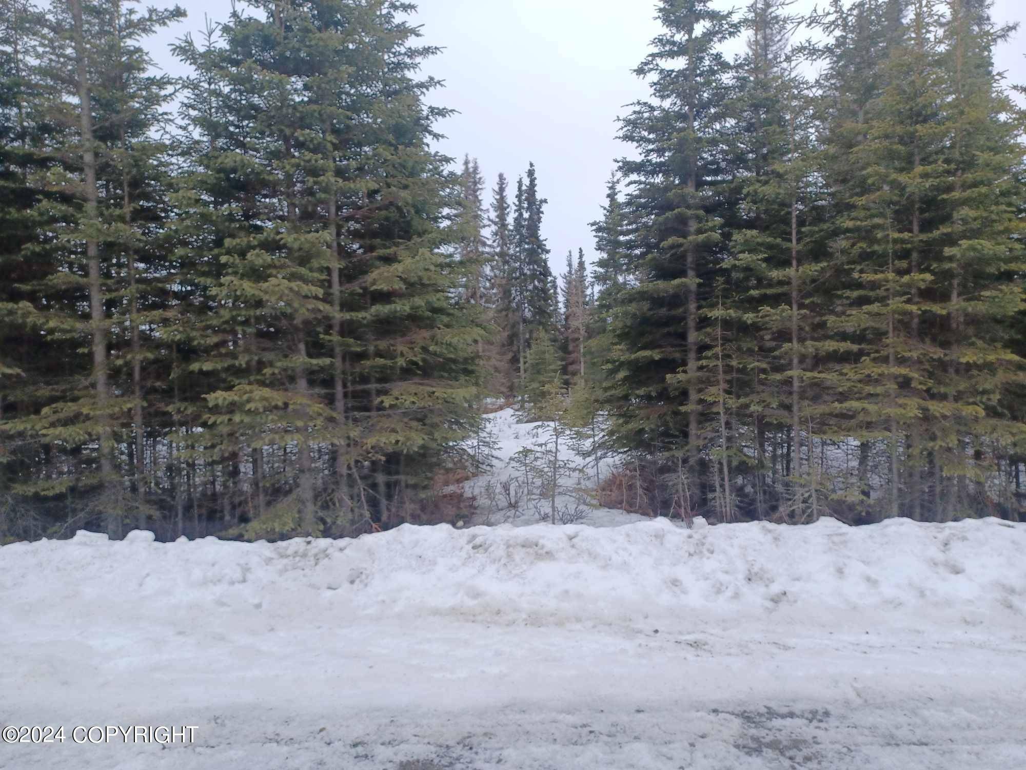 Kenai, AK 99611,Lot  4 Patrick DR