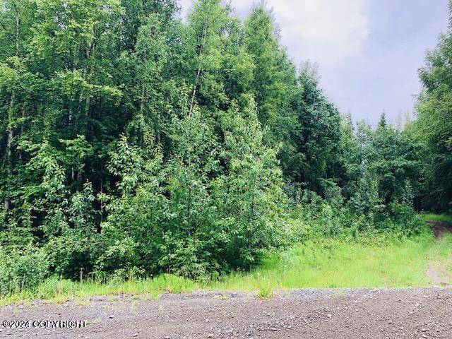 Soldotna, AK 99669,37095 Birkenweg ST