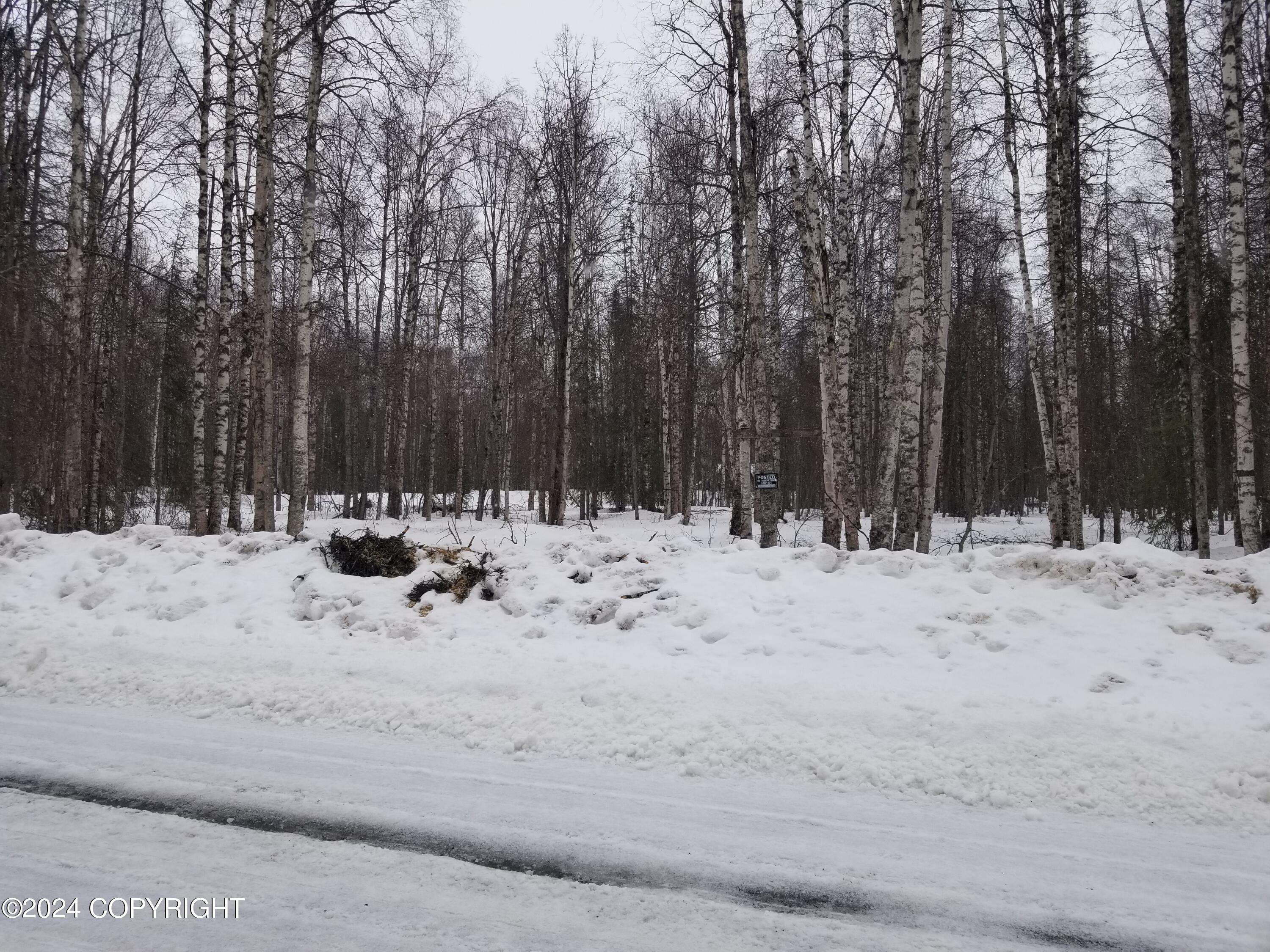 Willow, AK 99688,19996-74 E Record AVE