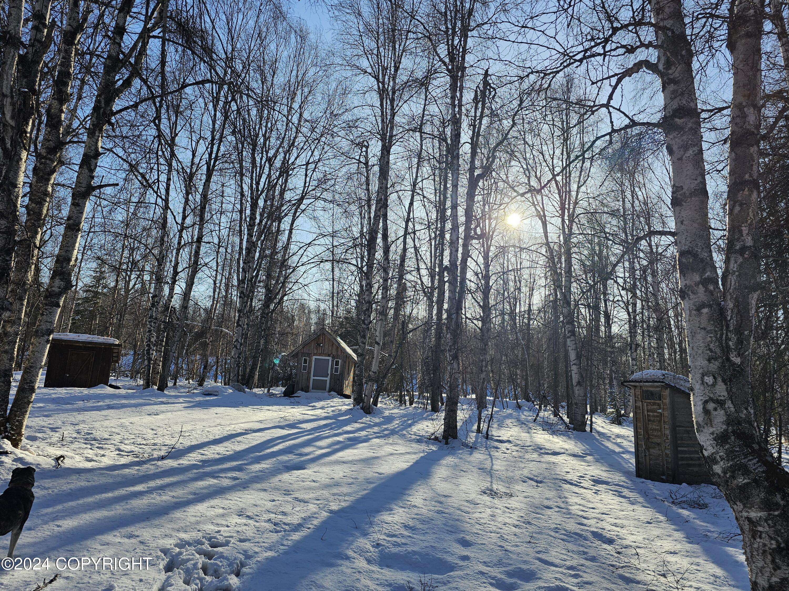 Willow, AK 99688,52964 S Snowy Owl CIR