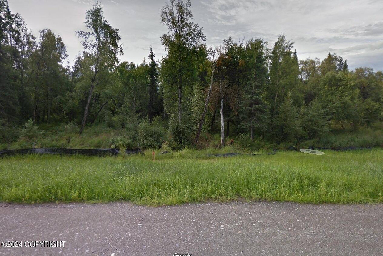 Palmer, AK 99645,7254 E Riparian LOOP