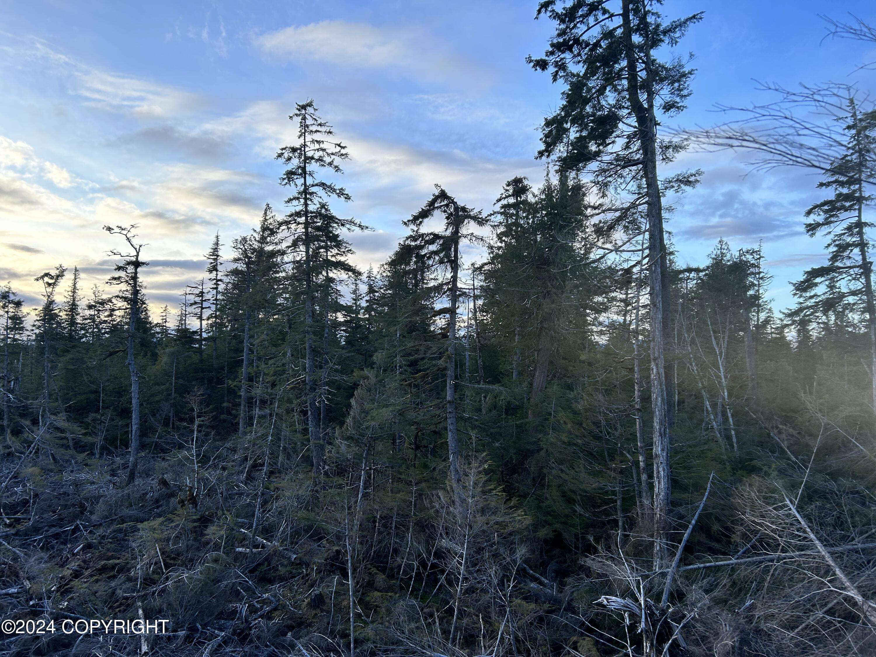 Ketchikan, AK 99901,NSA Gravina Island, Vallenar Bay