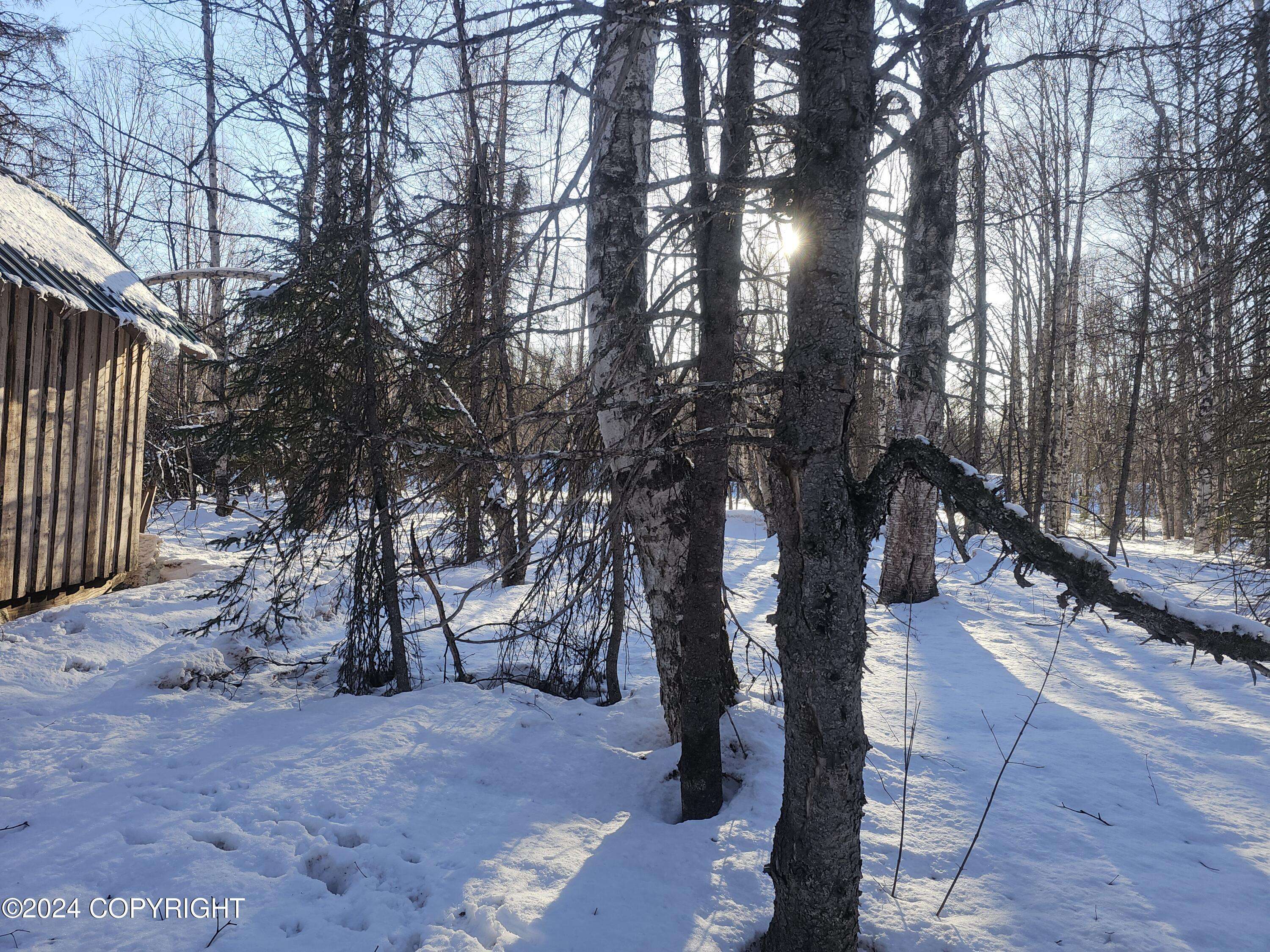 Willow, AK 99688,52964 S Snowy Owl CIR