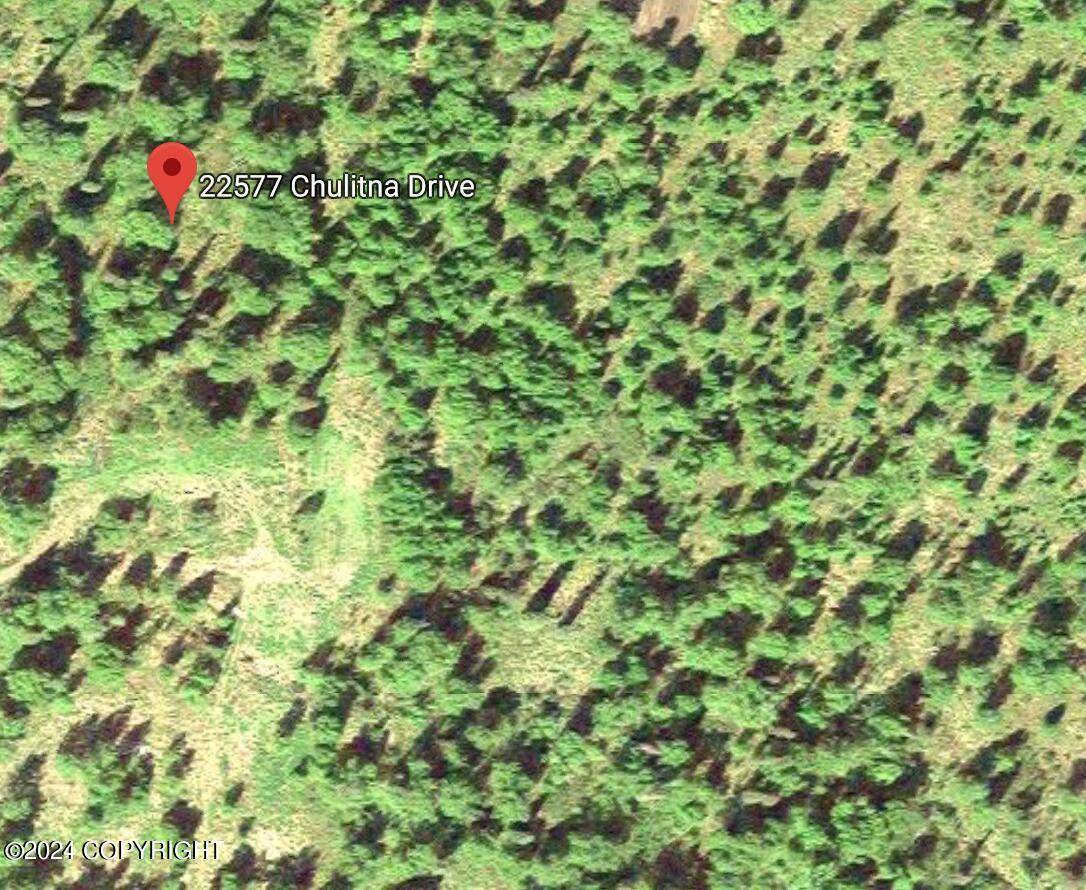 Talkeetna, AK 99676,22577 Chulitna DR