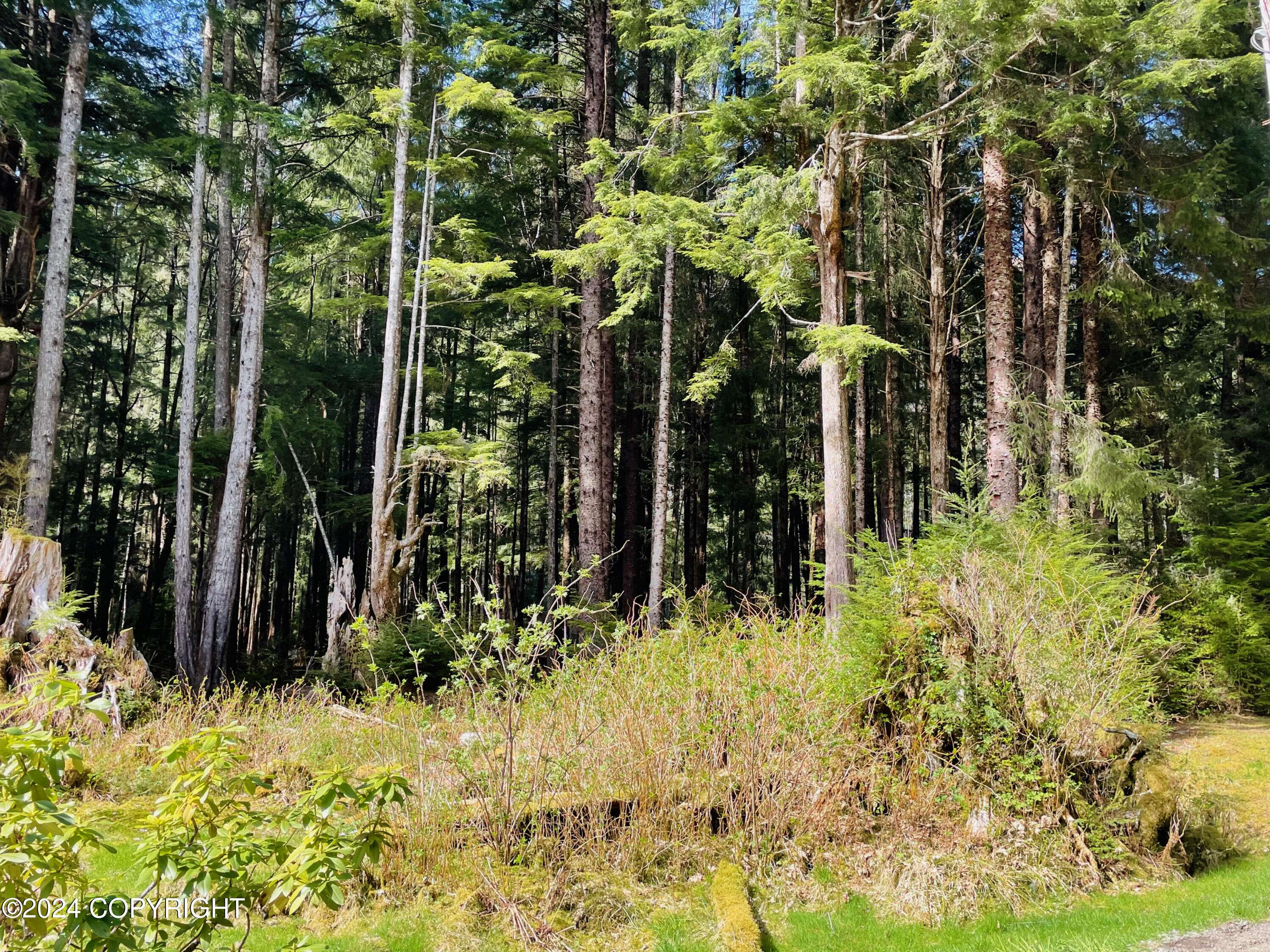 Craig, AK 99921,5 Mile Port Saint Nicholas RD