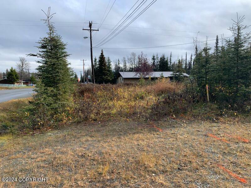 Kenai, AK 99611,1512 Aliak DR