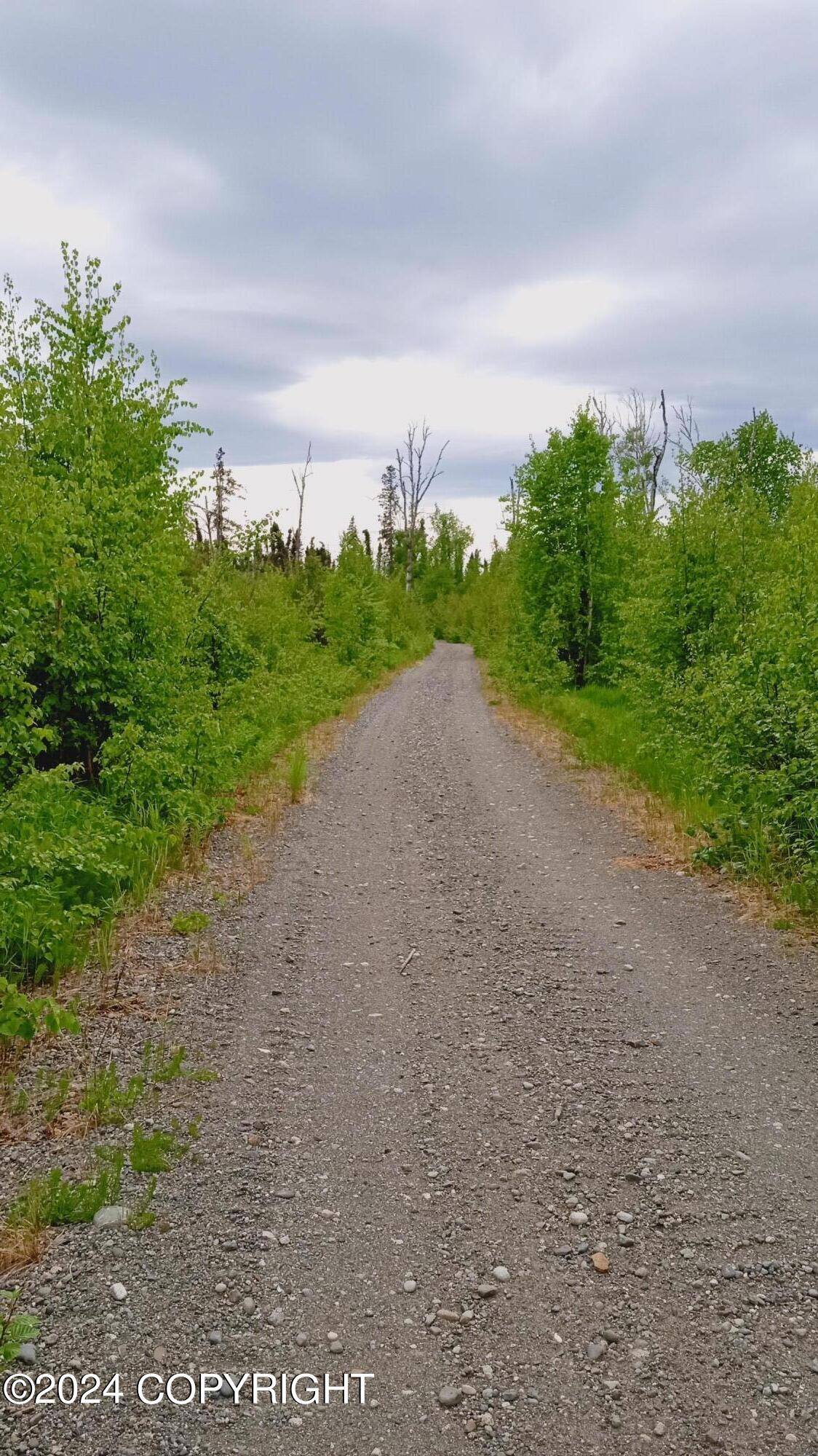 Wasilla, AK 99654,Tr 159 No Road