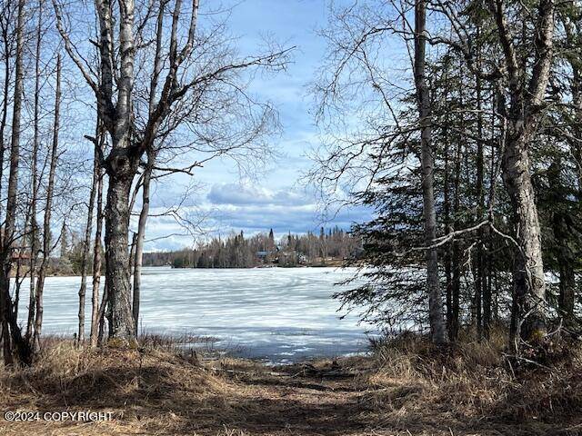 Nikiski/north Kenai, AK 99611,49870 Island Lake RD