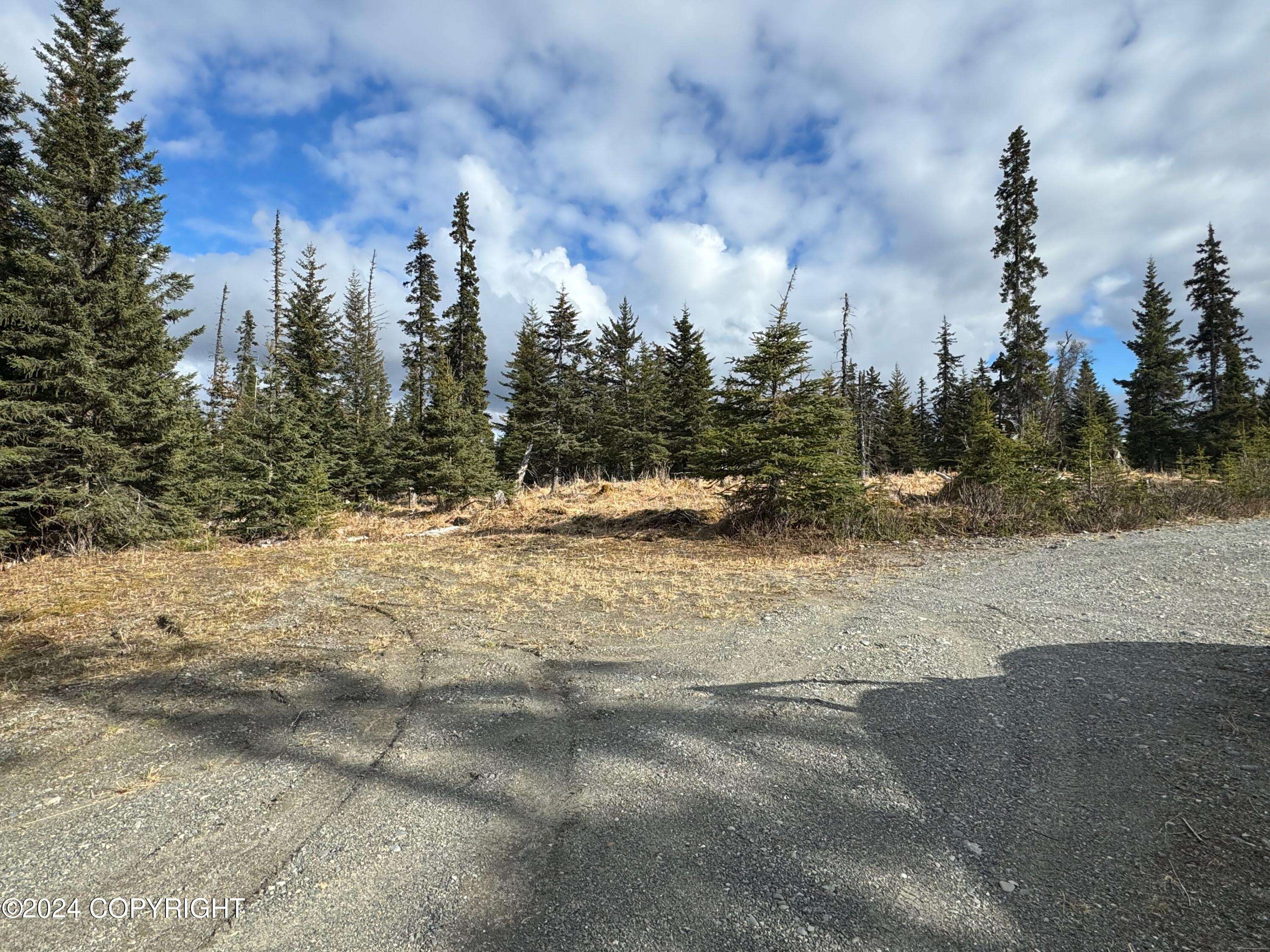 Ninilchik, AK 99639,Lot 15 Kivalina CIR