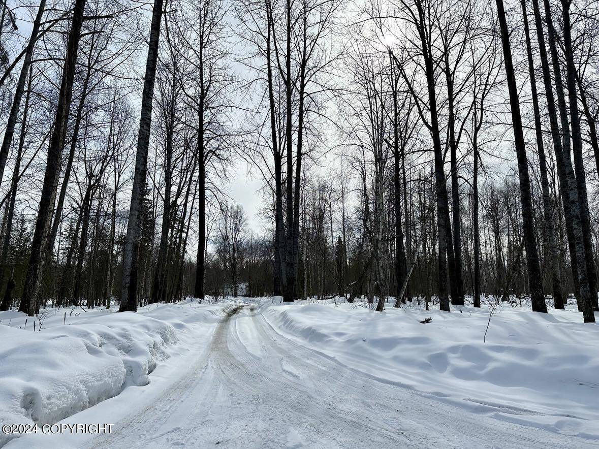 Talkeetna, AK 99676,15355 Mercedes DR