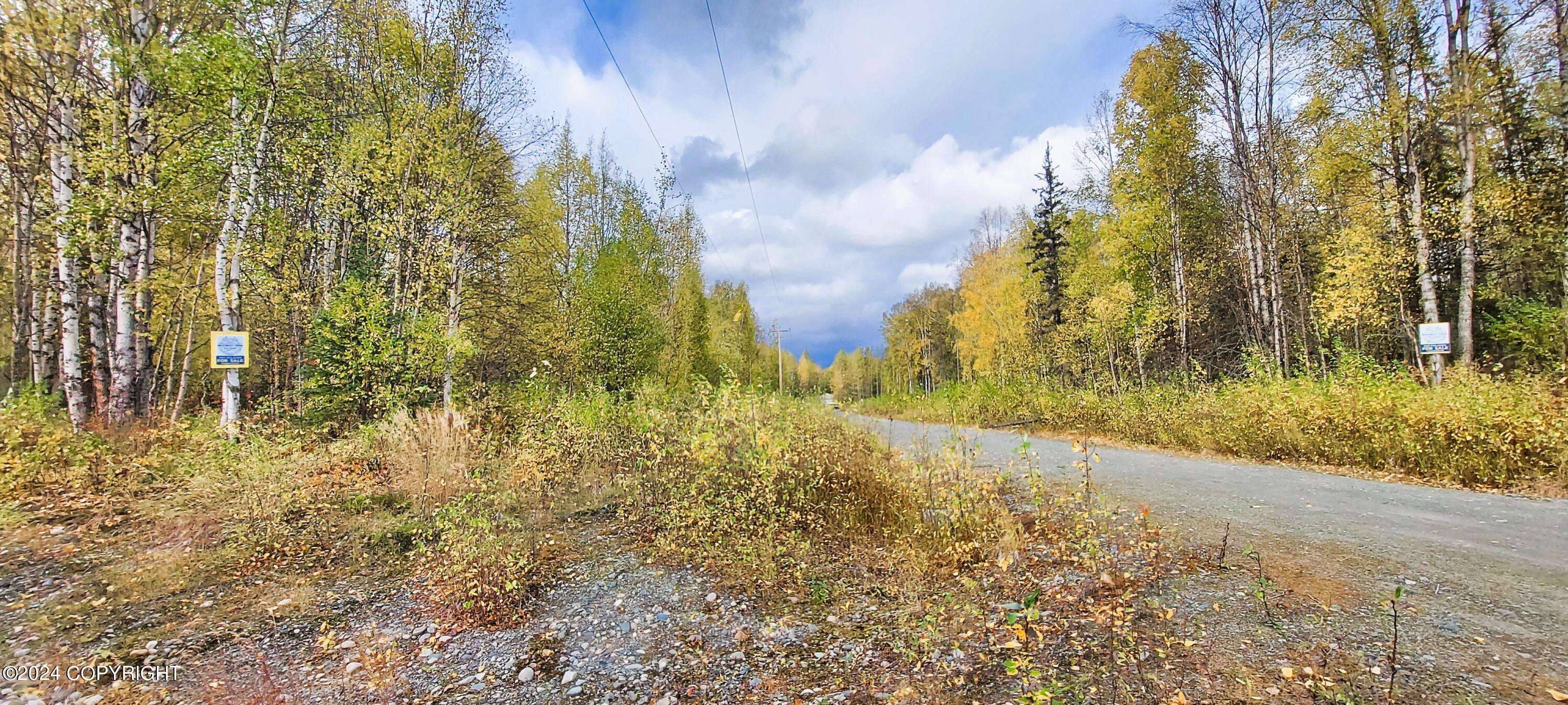 Talkeetna, AK 99676,L1-13 S Clara CIR