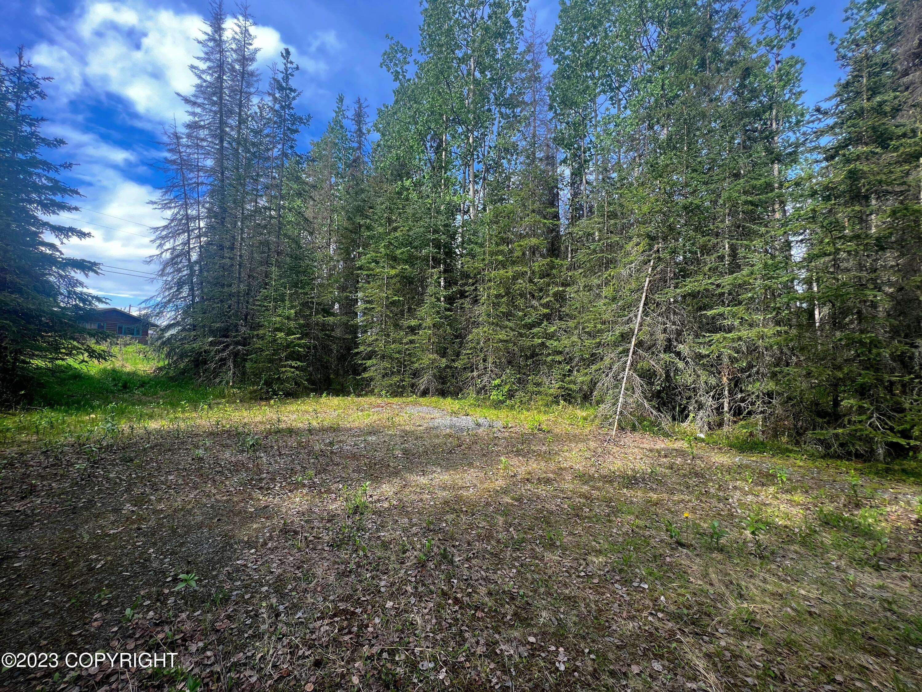 Soldotna, AK 99669,321 Edwards CT