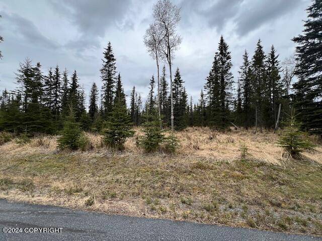 Soldotna, AK 99669,822 River Estates DR