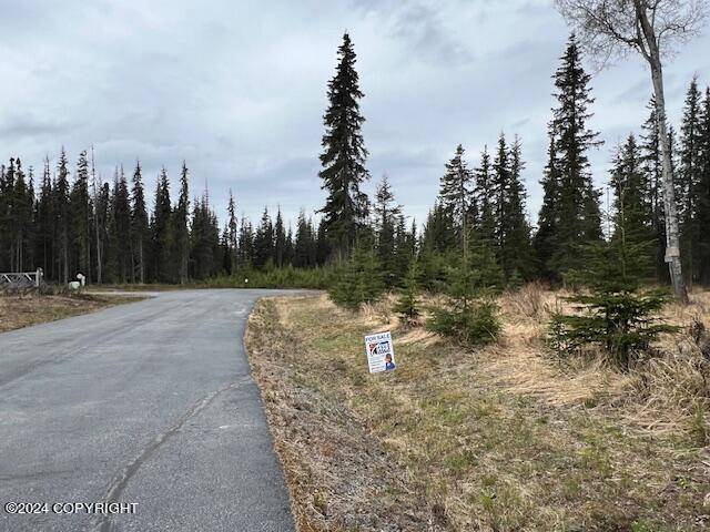 Soldotna, AK 99669,822 River Estates DR