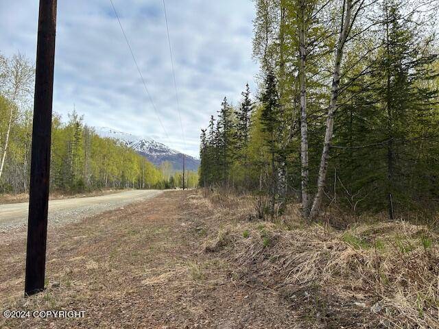 Wasilla, AK 99654,7935 N New Hope Farm RD