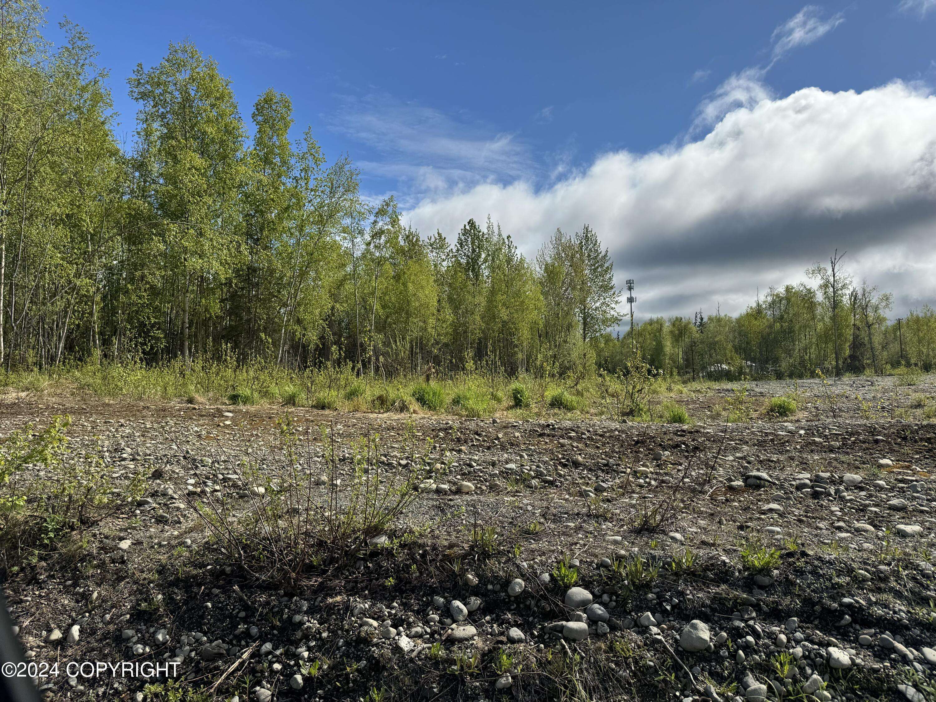 Big Lake, AK 99652,4712 S Kenaka Bena LOOP