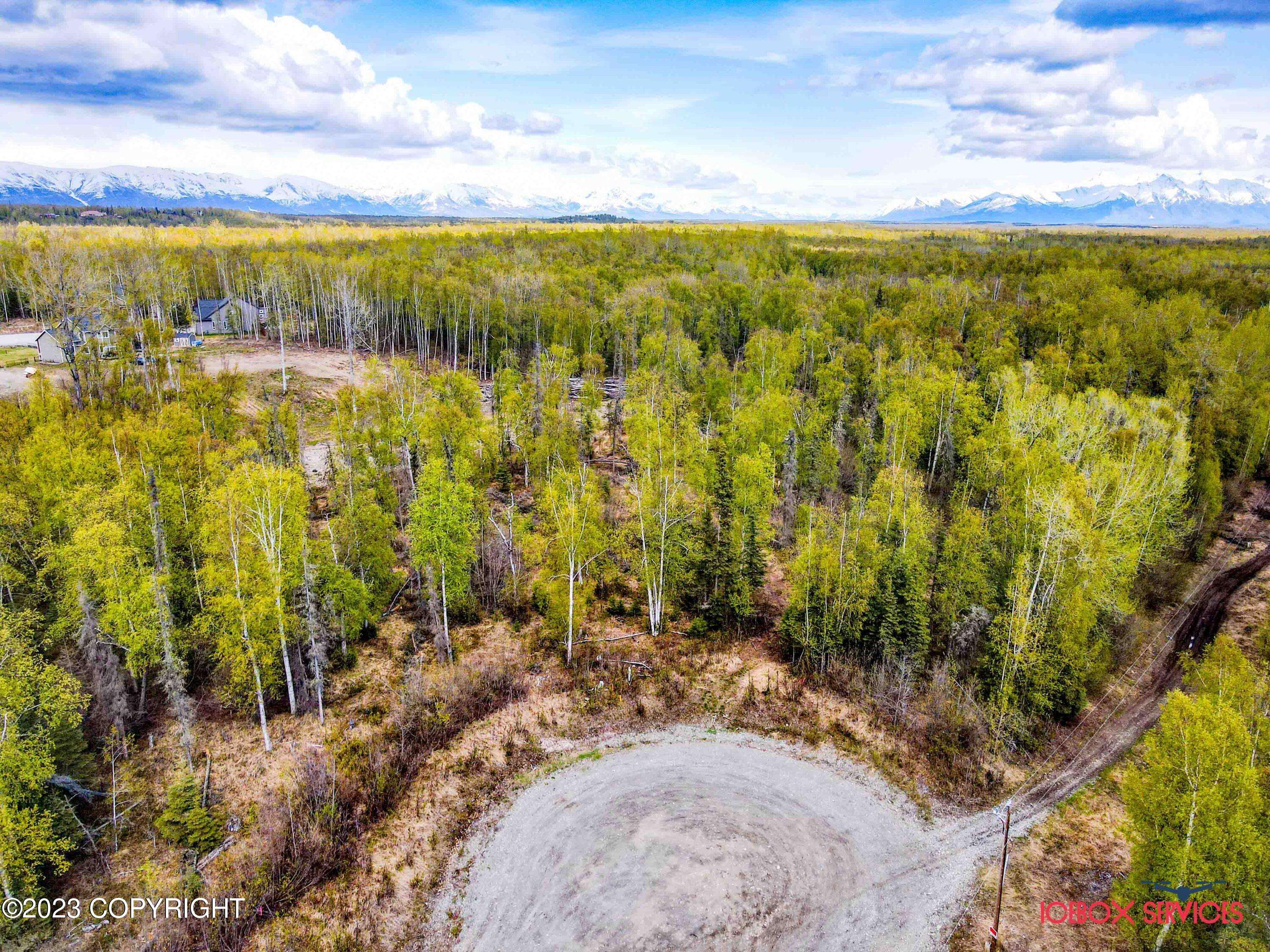 Wasilla, AK 99654,4603 W Monument CIR