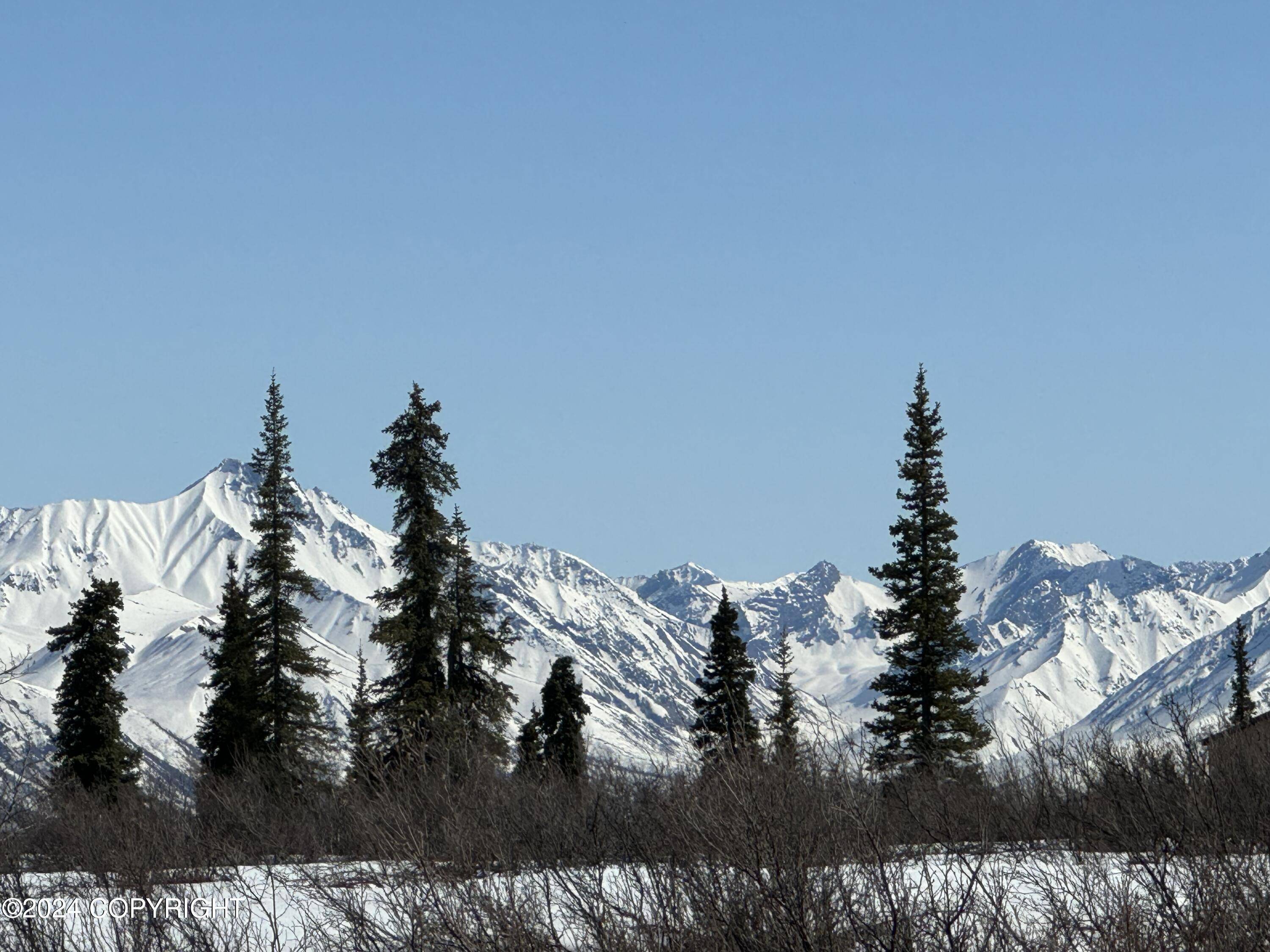 Nelchina, AK 99588,51020 Summit LOOP