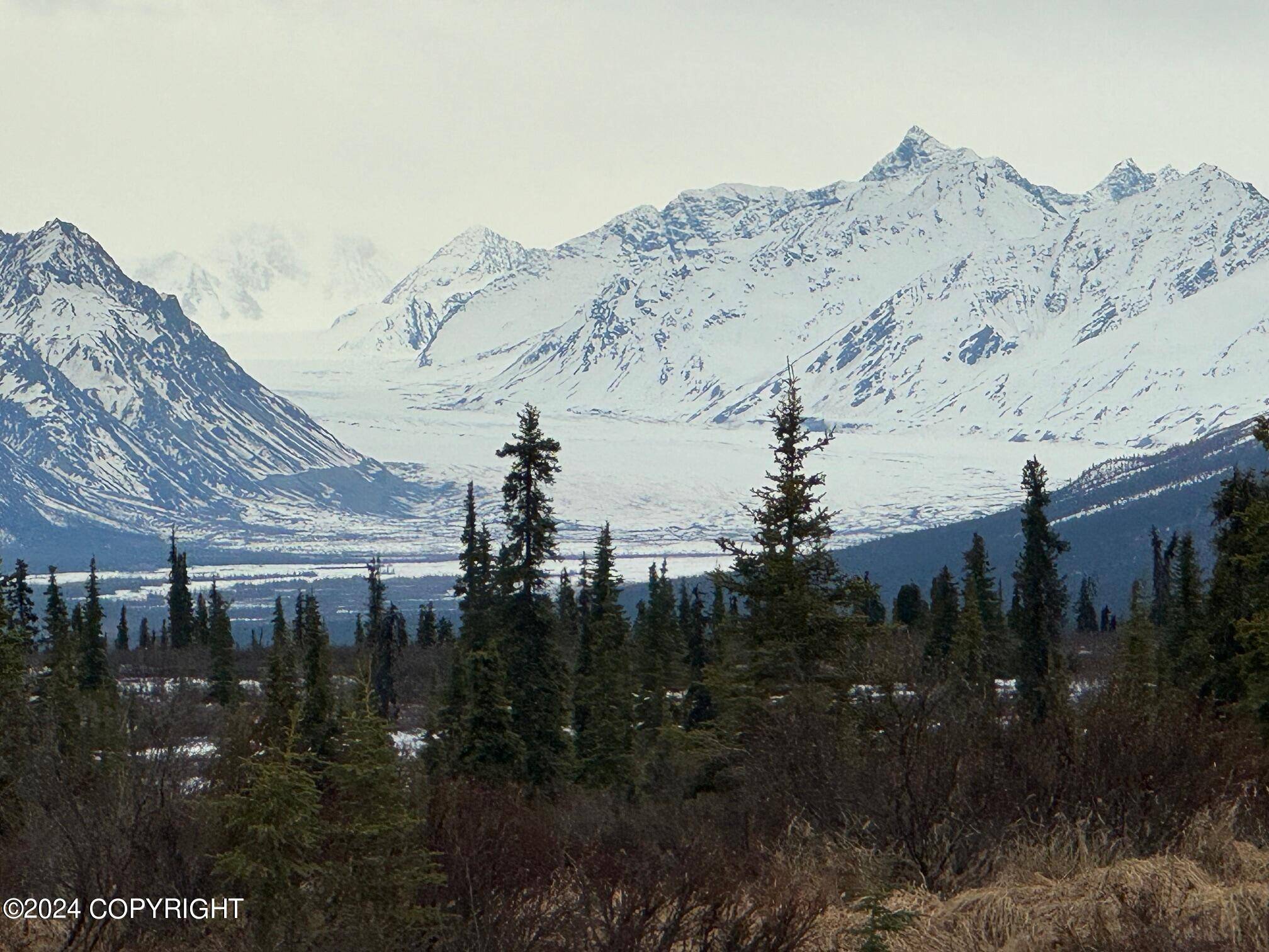 Nelchina, AK 99588,51020 Summit LOOP