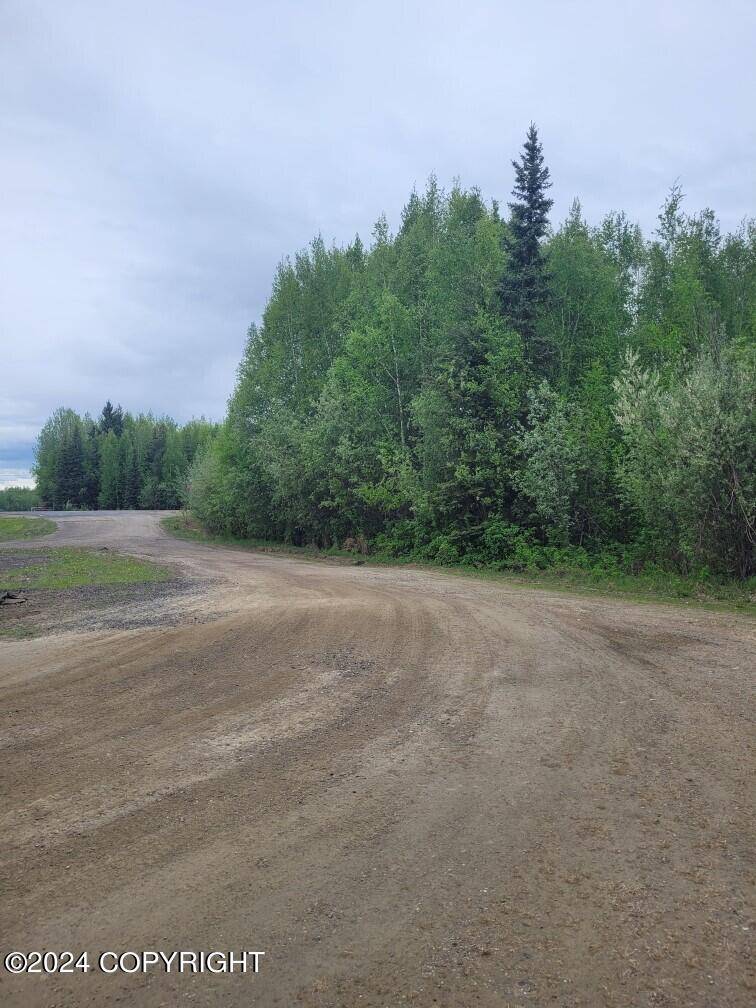 North Pole, AK 99705,NHN Badger RD