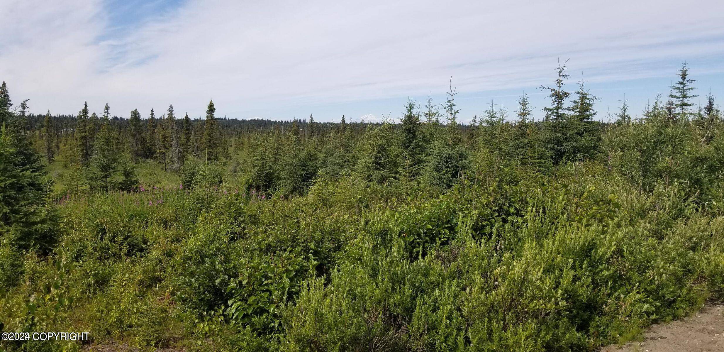 Anchor Point, AK 99556,L7-A&7-B Rowen Street