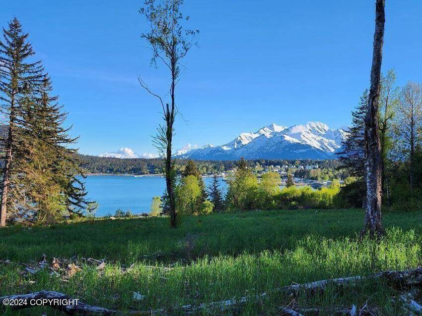 Haines, AK 99827,Lot 6 E Barnett DR