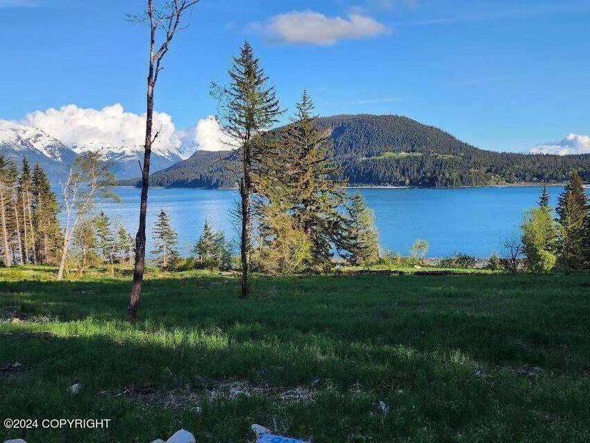 Haines, AK 99827,Lot 6 E Barnett DR