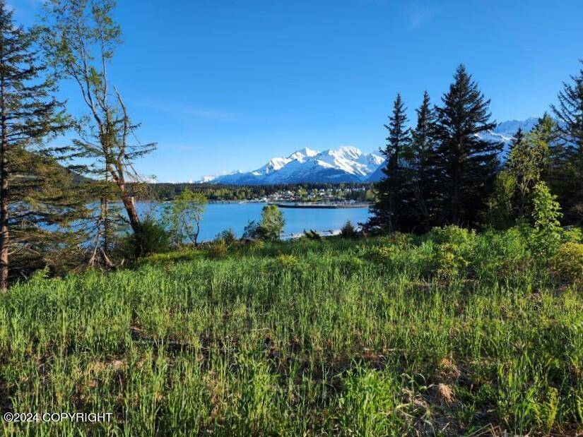 Haines, AK 99827,Lot 7 E Barnett DR