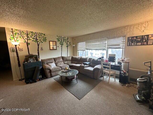 Homer, AK 99603,106 E Bayview AVE