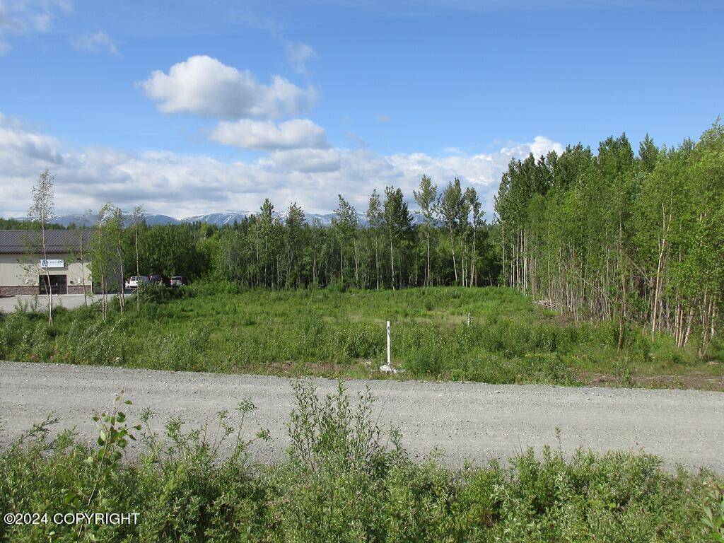 Wasilla, AK 99654,4565 E Greenstreet CIR