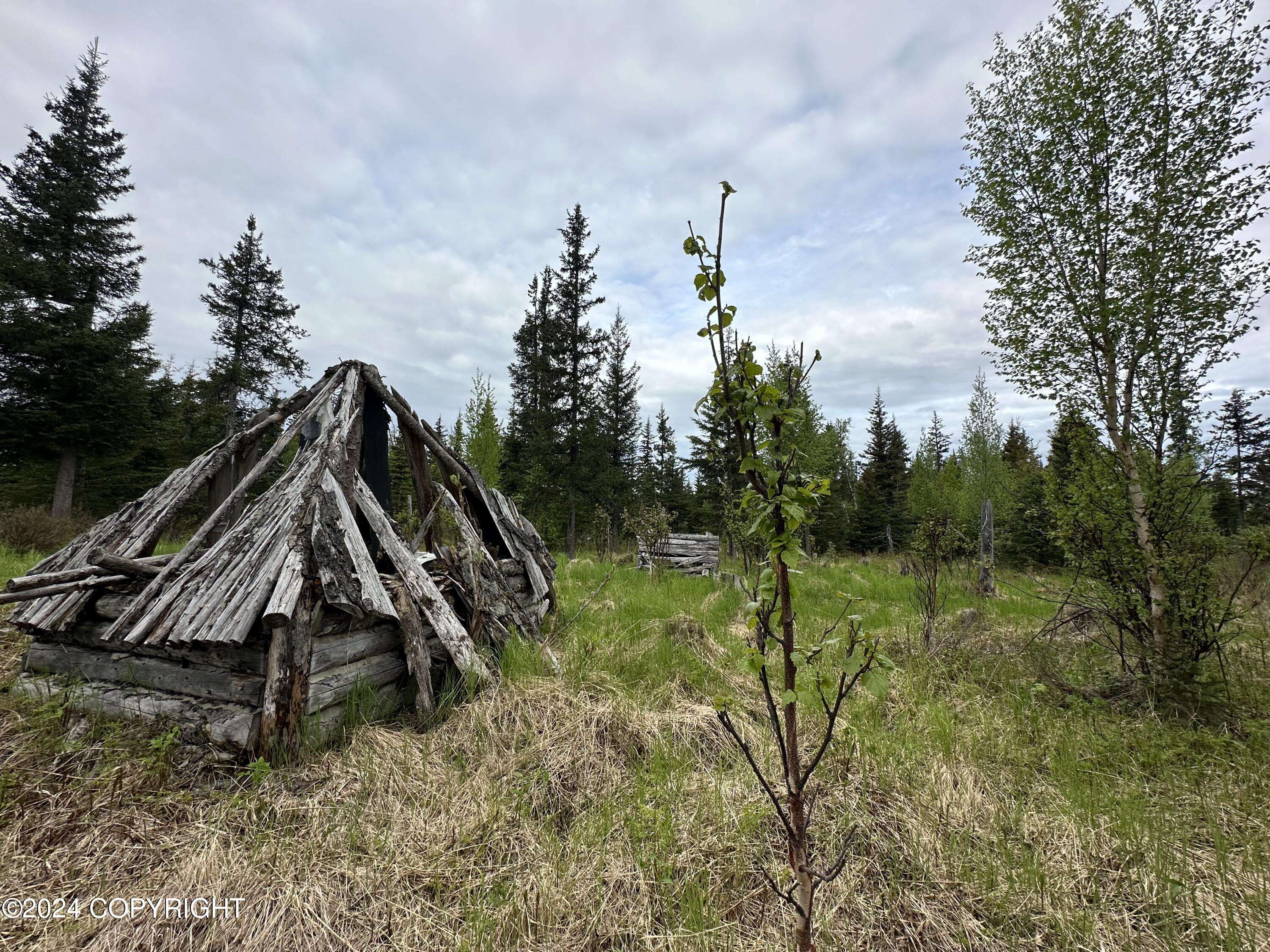 Anchor Point, AK 99556,L4 Brillo RD