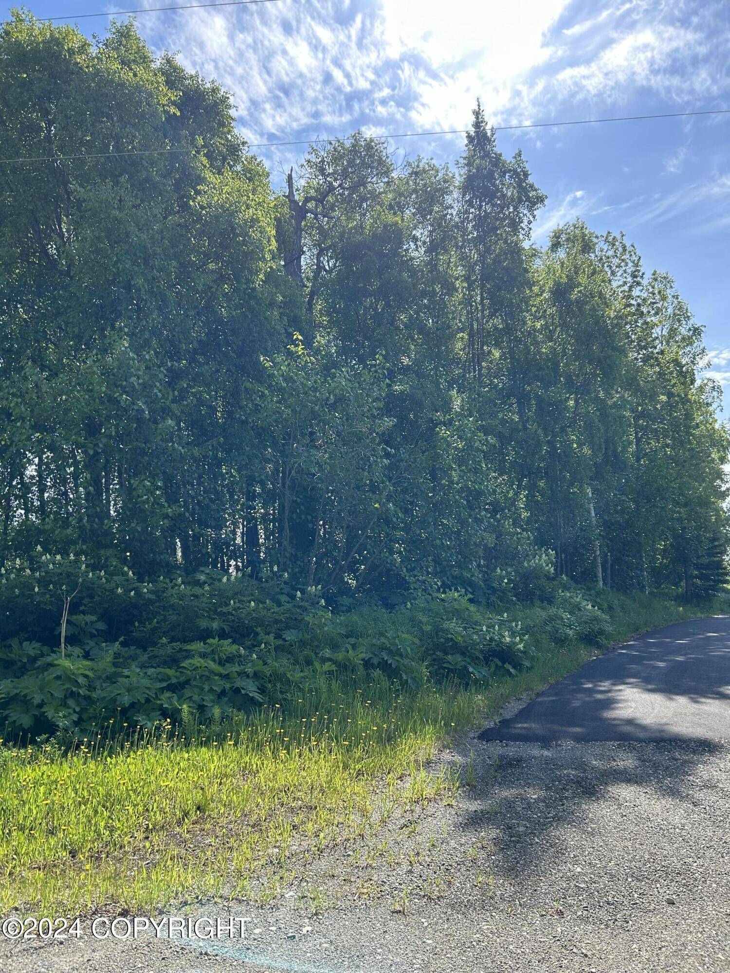 Nikiski/north Kenai, AK 99611,L6 B2 Ylmaki WAY