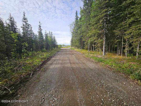 Nikiski/north Kenai, AK 99611,52037 Lower Salamatof AVE