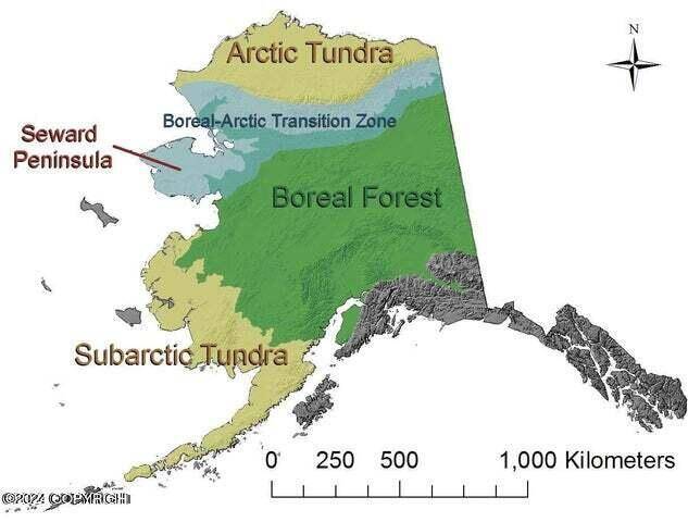 Bethel, AK 99559,FF16167 Native Allotment Parcel