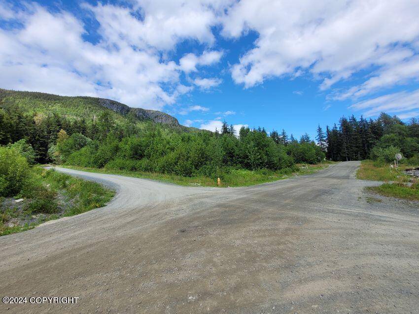 Haines, AK 99827,Lot 31 Chestnut DR