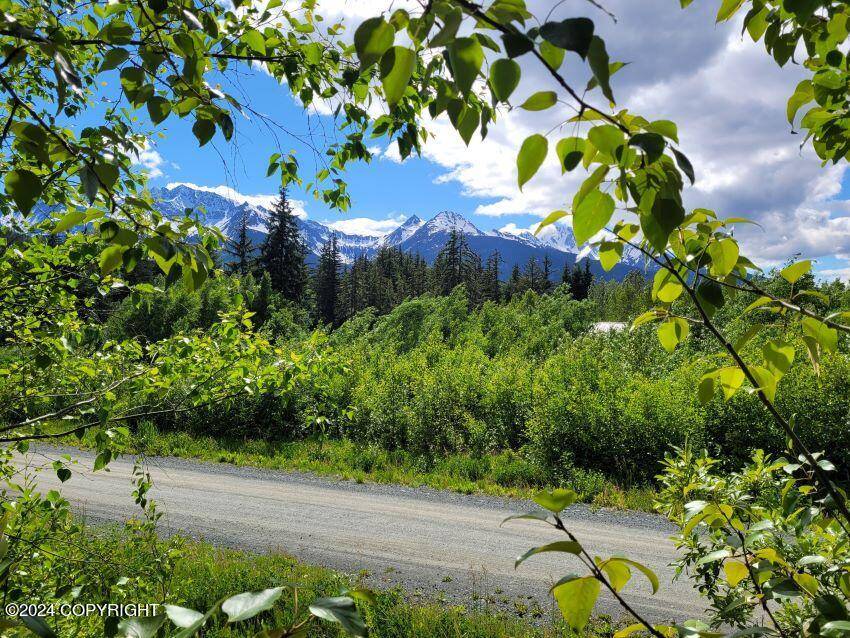 Haines, AK 99827,Lot 31 Chestnut DR